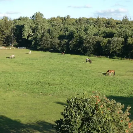 דירה Quartier Hohe Geest 17 - Nord Seestern