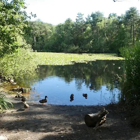 Quartier Hohe Geest 17 - Nord Seestern *